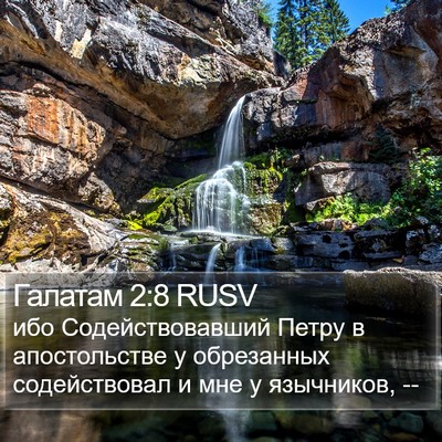Галатам 2:8 RUSV Bible Verse Image