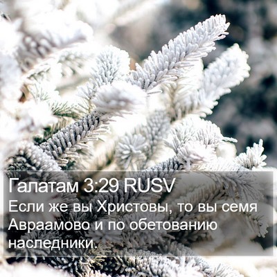 Галатам 3:29 RUSV Bible Verse Image