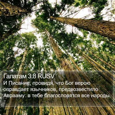 Галатам 3:8 RUSV Bible Verse Image