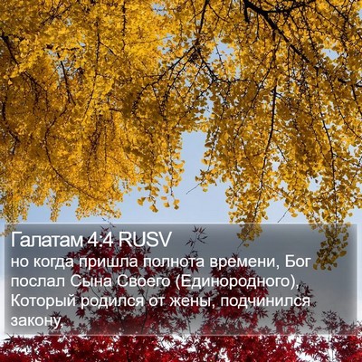 Галатам 4:4 RUSV Bible Verse Image
