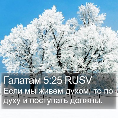 Галатам 5:25 RUSV Bible Verse Image