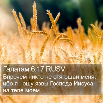 Галатам 6:17 RUSV Bible Verse Image