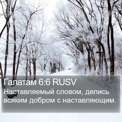 Галатам 6:6 RUSV Bible Verse Image