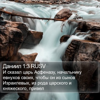Даниил 1:3 RUSV Bible Verse Image