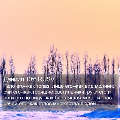 Даниил 10:6 RUSV Bible Verse Image