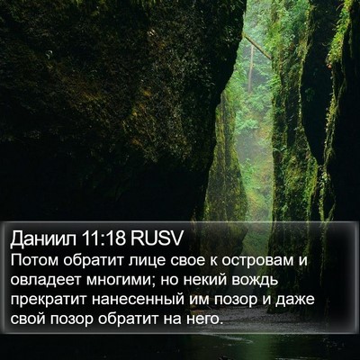 Даниил 11:18 RUSV Bible Verse Image