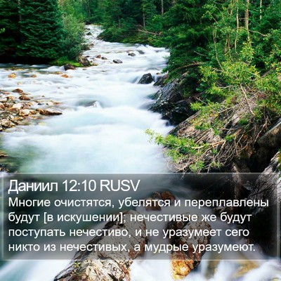 Даниил 12:10 RUSV Bible Verse Image