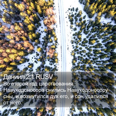 Даниил 2:1 RUSV Bible Verse Image
