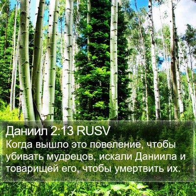 Даниил 2:13 RUSV Bible Verse Image