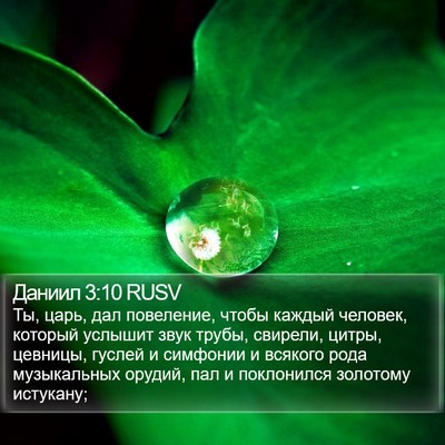 Даниил 3:10 RUSV Bible Verse Image