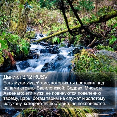 Даниил 3:12 RUSV Bible Verse Image