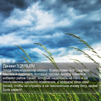 Даниил 3:28 RUSV Bible Verse Image