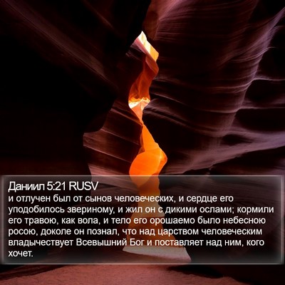 Даниил 5:21 RUSV Bible Verse Image