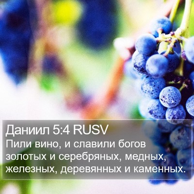 Даниил 5:4 RUSV Bible Verse Image