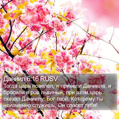 Даниил 6:16 RUSV Bible Verse Image