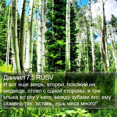 Даниил 7:5 RUSV Bible Verse Image