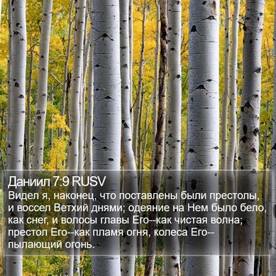 Даниил 7:9 RUSV Bible Verse Image