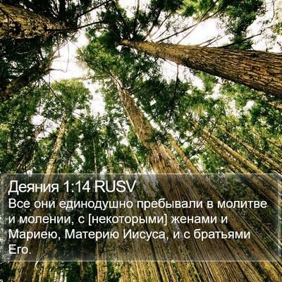 Деяния 1:14 RUSV Bible Verse Image