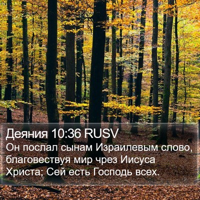 Деяния 10:36 RUSV Bible Verse Image