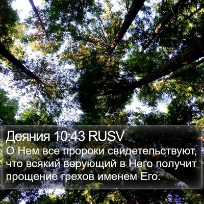 Деяния 10:43 RUSV Bible Verse Image