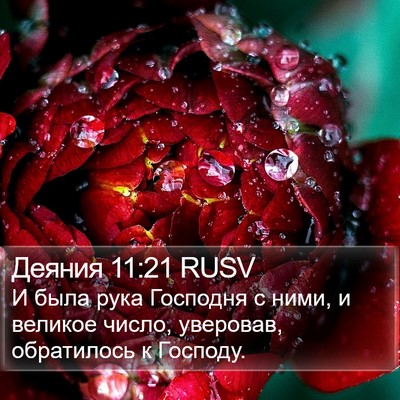 Деяния 11:21 RUSV Bible Verse Image
