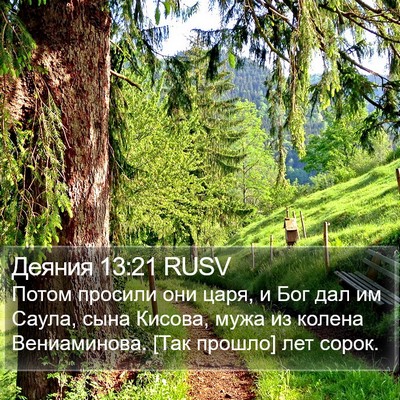 Деяния 13:21 RUSV Bible Verse Image