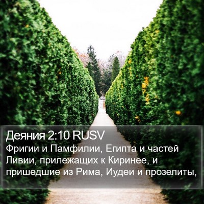 Деяния 2:10 RUSV Bible Verse Image