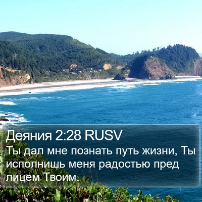 Деяния 2:28 RUSV Bible Verse Image