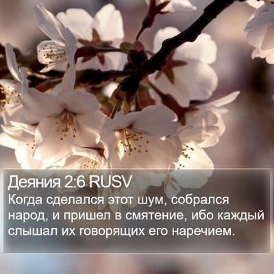 Деяния 2:6 RUSV Bible Verse Image