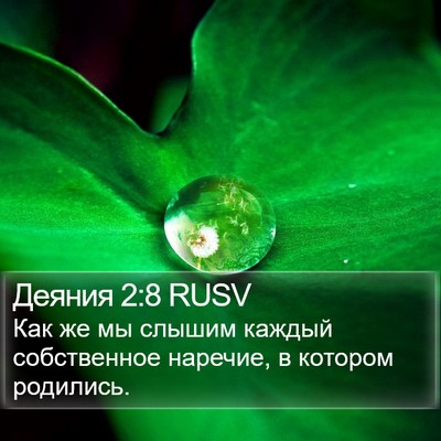 Деяния 2:8 RUSV Bible Verse Image