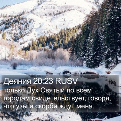 Деяния 20:23 RUSV Bible Verse Image
