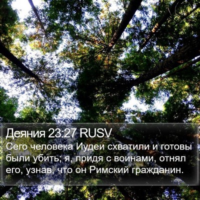 Деяния 23:27 RUSV Bible Verse Image