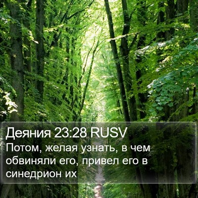 Деяния 23:28 RUSV Bible Verse Image