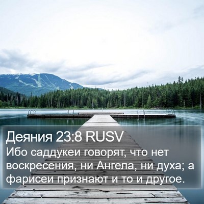 Деяния 23:8 RUSV Bible Verse Image