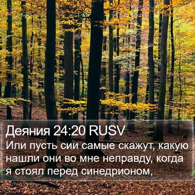 Деяния 24:20 RUSV Bible Verse Image