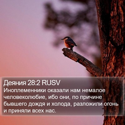 Деяния 28:2 RUSV Bible Verse Image