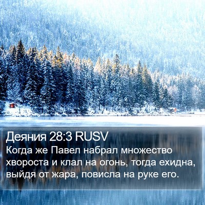Деяния 28:3 RUSV Bible Verse Image