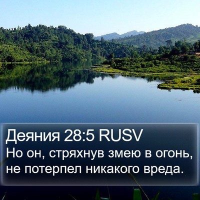 Деяния 28:5 RUSV Bible Verse Image
