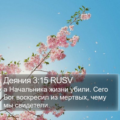 Деяния 3:15 RUSV Bible Verse Image