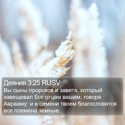 Деяния 3:25 RUSV Bible Verse Image