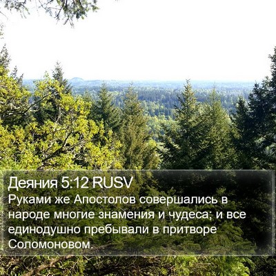 Деяния 5:12 RUSV Bible Verse Image