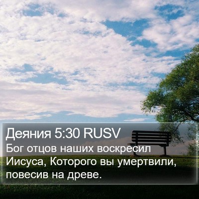 Деяния 5:30 RUSV Bible Verse Image