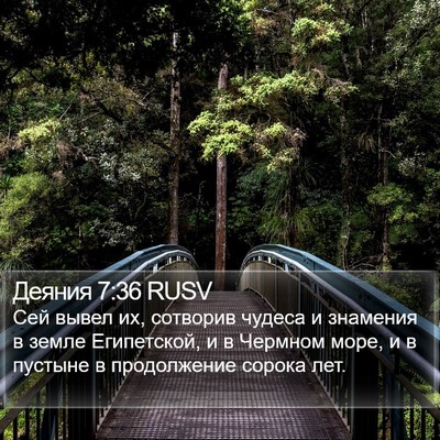 Деяния 7:36 RUSV Bible Verse Image
