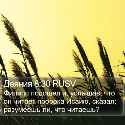 Деяния 8:30 RUSV Bible Verse Image