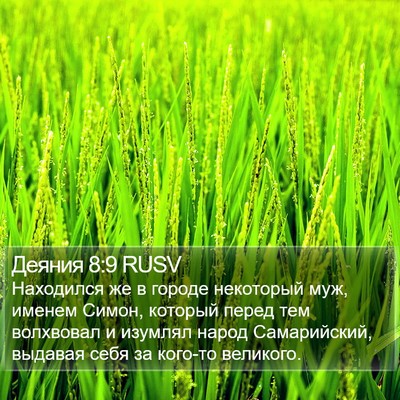 Деяния 8:9 RUSV Bible Verse Image
