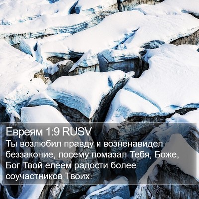 Евреям 1:9 RUSV Bible Verse Image