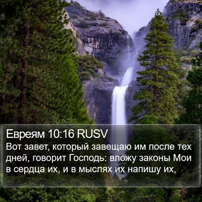 Евреям 10:16 RUSV Bible Verse Image