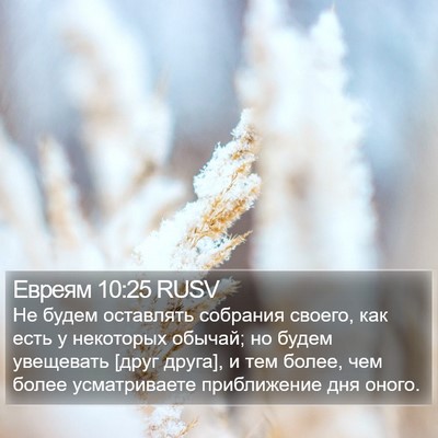 Евреям 10:25 RUSV Bible Verse Image