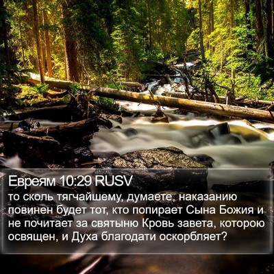 Евреям 10:29 RUSV Bible Verse Image