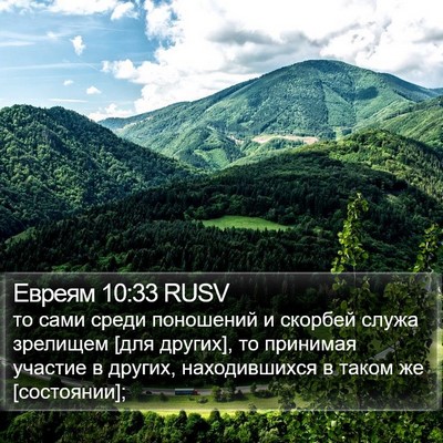 Евреям 10:33 RUSV Bible Verse Image